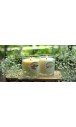 australianScent Beeswax Candle Box Trio 